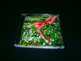LIFELOVER - Pulver. CD