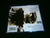 REVERENCE - Inactive Theocracy. CD