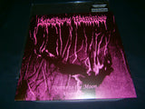 LUCIFER'S HAMMER - Hymns to the Moon. 12" Vinyl