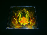 REBORN IN FLAMES - Destroying All They Built. CD