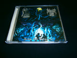 AYNI / FLAGELUM DEI - Acts of Sorcery. Split CD