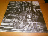 AMNION - Cryptic Wanderings. 12" LP Vinyl