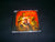 XENTRIX - Bury the Pain. CD