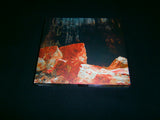 VOID PARADIGM - Ultime Pulsation / Demain Brule. Digipak CD