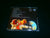BELARUS BEAVER - Planet of the Beavers. CD