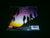 OPEN - Orchid. CD