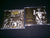 DEVASTATOR - The End. CD