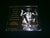 DEVASTATOR - The End. CD