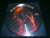 NUCTEMERON - Vomit the Evil. 12" Pic Vinyl