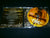 NILE - At the Gate of Sethu. CD