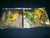 GRAVE - Into the Grave. CD