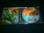 BLIZZARD HUNTER - The Path of Triumph. CD