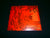 POGROM - Dominor Pactum. Digipak CD