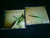 GOD DETHRONED - The Toxic Touch. CD