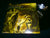 FUNEREAL MOON - Beneath the Cursed Light of a Spectral Moon. 12" Vinyl