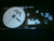AVERNAL - No Hope. Double CD