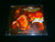 CHEWELCHE - Defensa Civil. CD