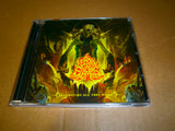 REBORN IN FLAMES - Destroying All They Built. CD