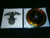 DEATH'S COLD WIND - Subyugador / In Goat We Trust. CD
