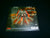 PATAN - Patan. Digipak CD
