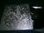 ONE MASTER - Lycanthropic Burrowing. 12" Gatefold Vinyl