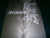 ONE MASTER - Lycanthropic Burrowing. 12" Gatefold Vinyl