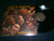 NOCTIS INVOCAT - Daemoniacus. 12" Vinyl
