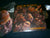 NOCTIS INVOCAT - Daemoniacus. 12" Vinyl