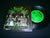 MANTICORE - Born into Degradation. 7" EP Vinyl