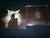 HATE - Rugia. CD