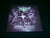 NEBIROS - Firmes & Dignos. 1990-2020. Digipak CD