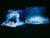 EDU FALASCHI - Moonlight. CD