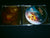 RING OF FIRE - Battles of Leningrad. CD