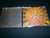 BLACK STAR RIDERS - Another State of Grace. CD