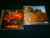 AFTERDREAMS - Wildfire. CD