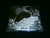 GRAVEWURM - Doomed to Eternity. CD