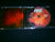 GRAVE - Soulless. CD