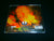 SUSPIRIA DE PROFUNDIS - Brazilian Compilation. CD