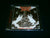 CONCEIVED BY HATE - Death & Beyond. CD