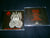 EVIL WRATH - A Pact with Satan... The Fall of Man. CD