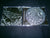 ANARCHOS - Invocation of Moribund Spirits. CD