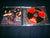 DISGRACE AND TERROR - Terror Nuclear / Shadows of Violence. CD