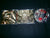 SHUD - Rot In Pieces. Double CD