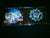 WINTER'S VERGE - Eternal Damnation. CD