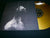 SHINING - Feberdrommar Del Ett. 12" Gatefold Vinyl