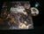 ABSURD - Facta Loquuntur. Gatefold 12" Vinyl