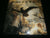 ARGHOSLENT - Hornets of the Pogrom. Gatefold 12" Vinyl