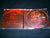 CANNIBAL CORPSE - Red Before Black. CD