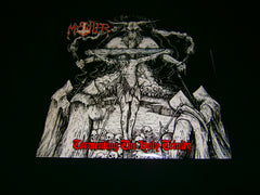 MYSTIFIER - Tormenting the Holy Trinity. 12" Vinyl