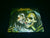 SARCOFAGO - Rotting. CD